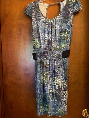 Blue printed dress
